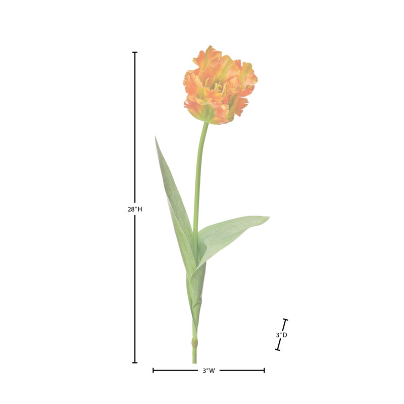 Perroquet doux au toucher 28 po , Orange