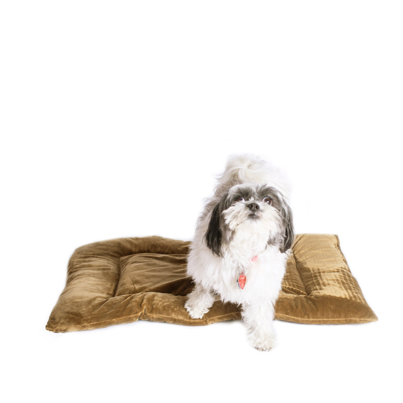 Tapis pour chien en velours doux, Moyen (l 27 po x P 19 po x H 2 po), Sauge vert