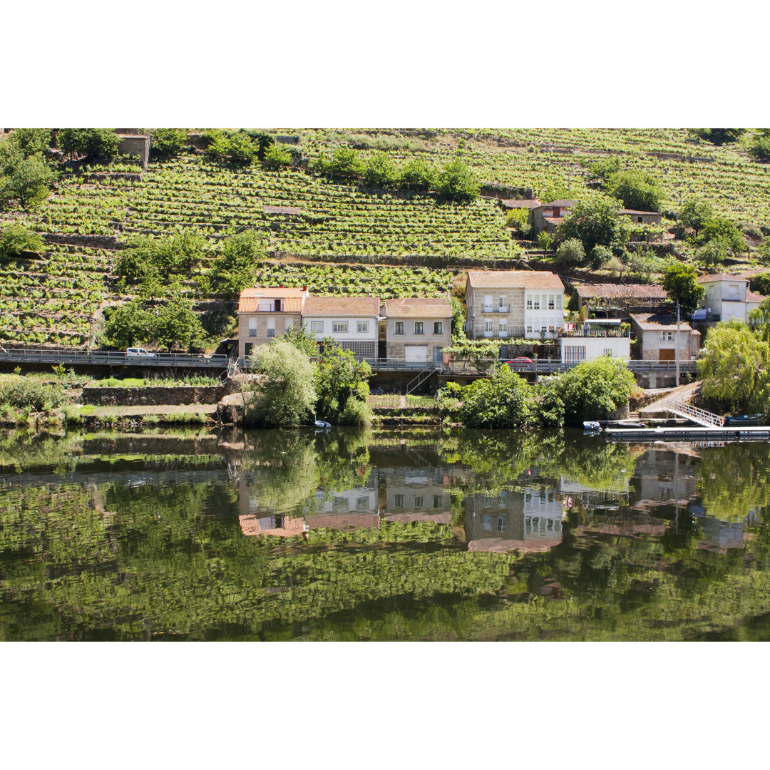 Vineyard By The River Bank von Percds - Leinwanddrucke auf Leinwand