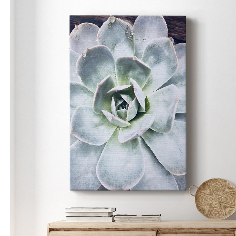 Pastel Succulent Beauty IV - Photographie sur toile tendue, H 12 po x l 8 po x P 1,5 po