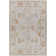 Finnlagh Oriental Indoor Rug