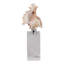 Figurine Oakden Coastal Seashell Sculpture-2049609556