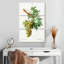 Vigne Yarlin - Vitis Laciniata-108617615