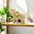 Modern Resin Polyresin Elephant Figurine with Intricate Detailing - Elegant Decorative Accent for Contemporary and Stylish Home Decor-834475669