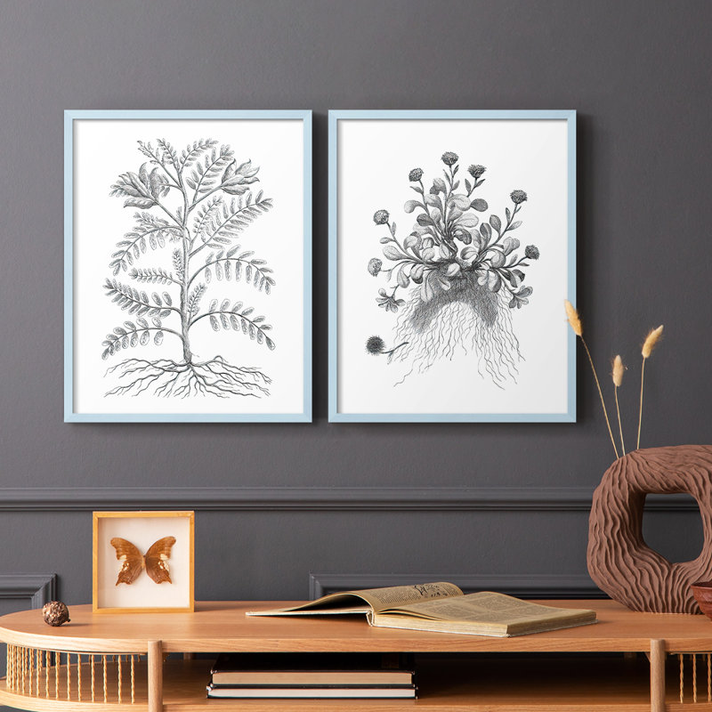 Reproduction encadrée de qualité supérieure B&W Plant Speciment IX - prête à être accrochée - aucun clou requis - aucun clou requis