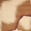 Tapis ivoire Oyola-1147444212