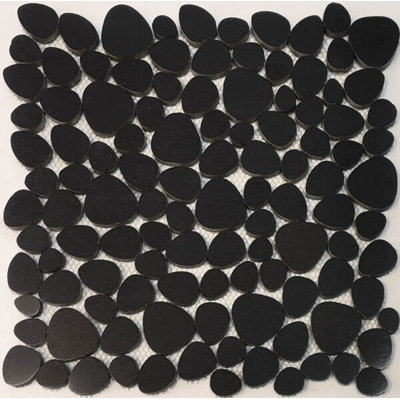 Gris anthracite Palm Beach