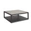 Coalesce Coffee Table