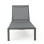 2 chaises d'extérieur grises, structure solide, chaise longue en filet (2), stable, fabrication