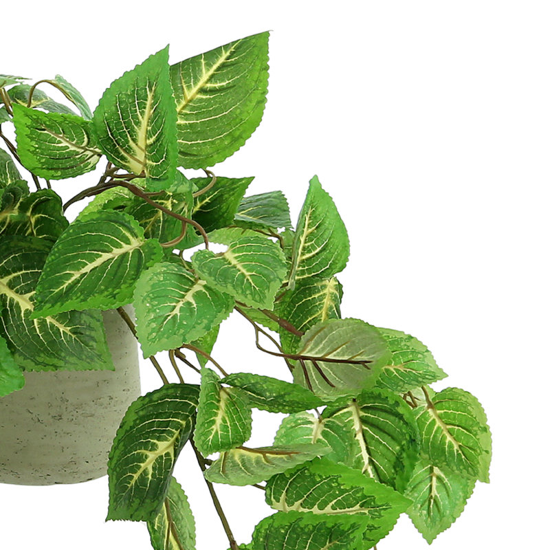 7.5'' Artificial Foliage Plant in Pot
