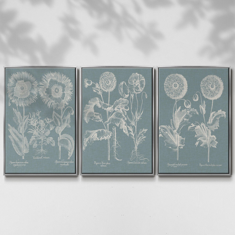 3 pièces Besler Poppies I, H 36 po x l 72 po, Argent