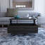 Table basse à plateau relevable avec rangement-1611269189