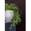 Bohemian Pots Handmade Fiberstone Planter
