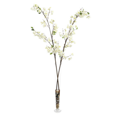 Fleurs de cerisier crème