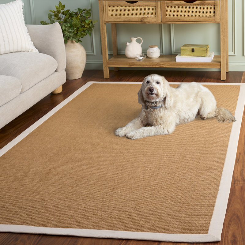 Natural Fiber Flat Weave Jute/Sisal; Latex; Cotton Solid Color Indoor Rug, Rectangle 6' x 9'
