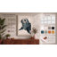 Seal at Rest Coastal - Wrapped Canvas-1045430916-1045430941