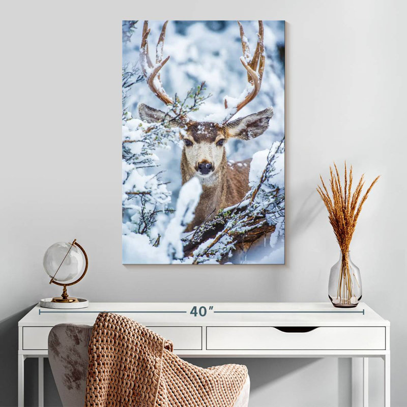 Brampt Winter Mule Deer, 30" H x 20" W