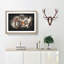 Tiger - Picture Frame Graphic Art Print-56863951-56863956