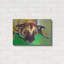 «German Shepherd - Stanley Boy» par Dawg Painter-1347288284