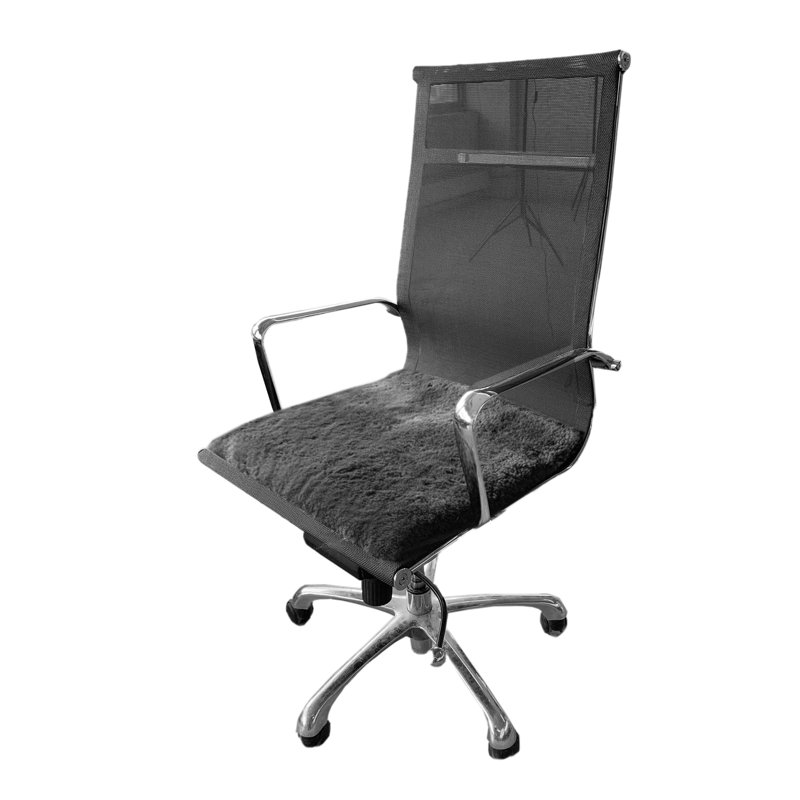 Outdoor 1'' Dining Chair Chair Pad