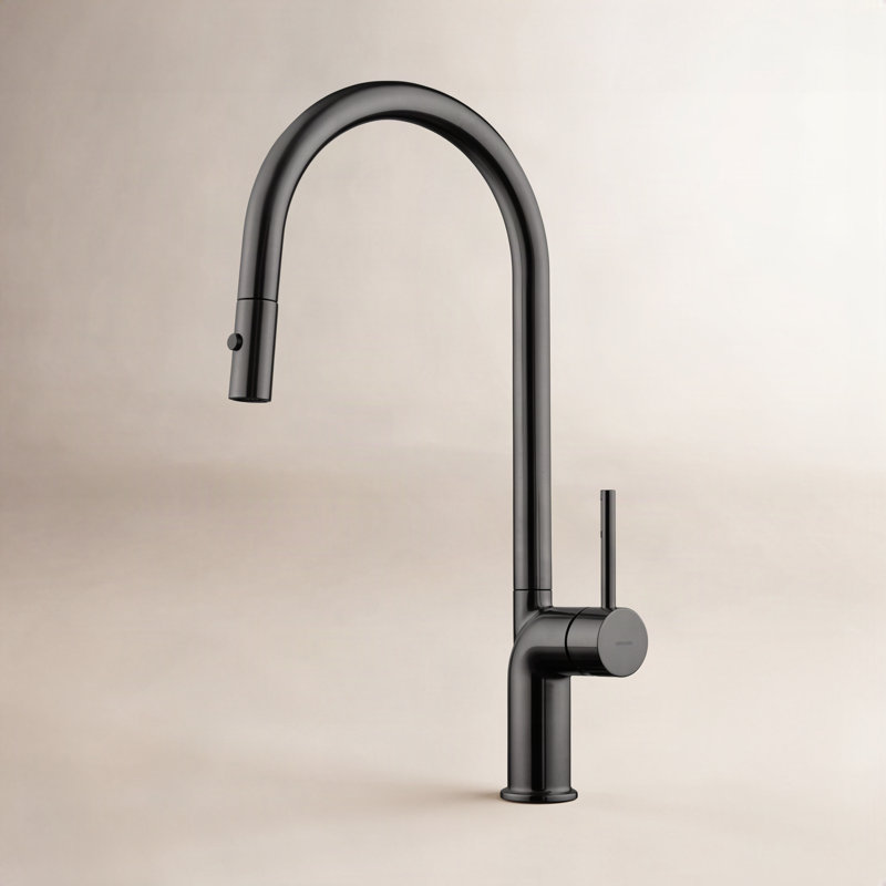 Maestro Bath Swan Pull Out Kitchen Faucet, Black