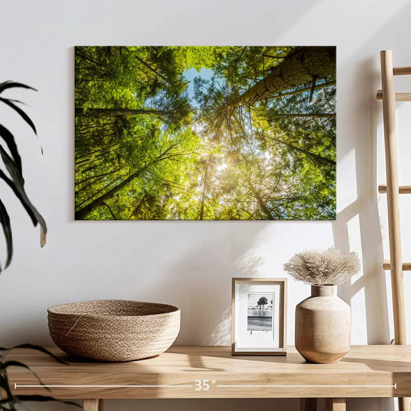 Harnek Tree Top, 16" H x 24" W