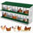 10 Compartments Metal Chicken Nesting Boxes, Nesting Boxes, Chicken Laying Box With Roll Out Egg Collection With Vented Holes-1053640276