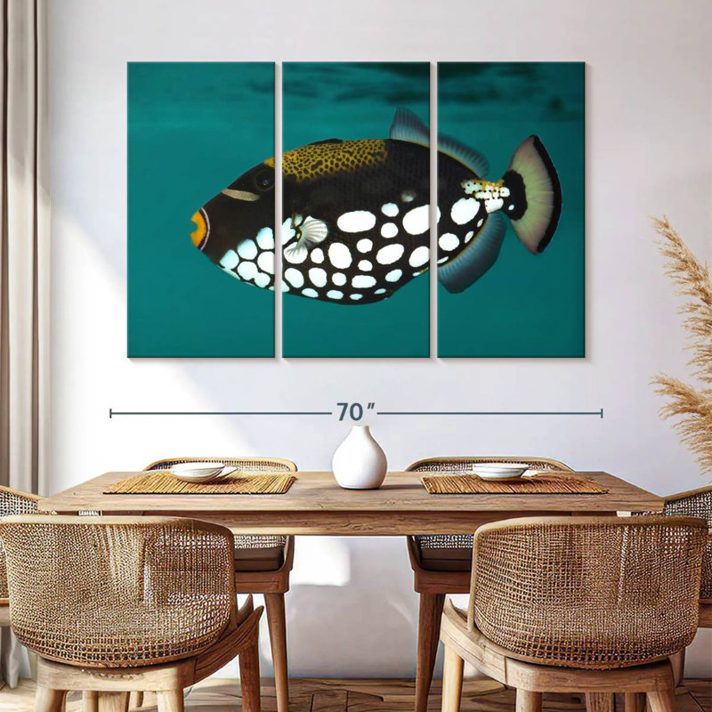 Brampt Clown Triggerfish Pet, 42" H x 65" W