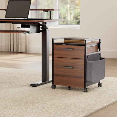 Ziolkowski 2-Drawer Mobile Vertical Filing Cabinet