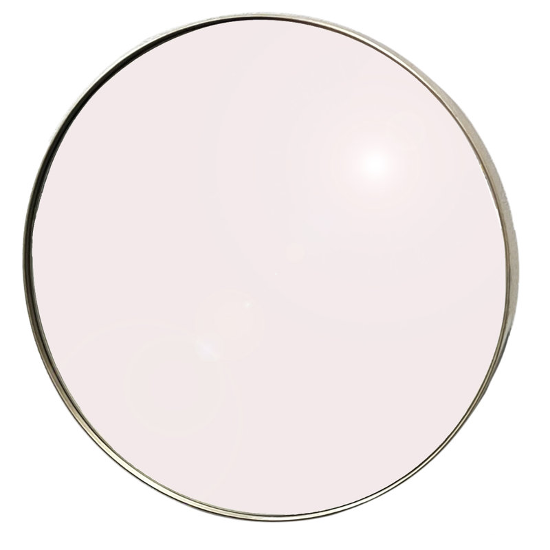 Alexei Flat Mirror, 50.50cm H x 50.50cm W x 4cm D, Antique Champagne Silver