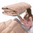 Polyester Baffle Box Stitch Comforter-30503526-71540563