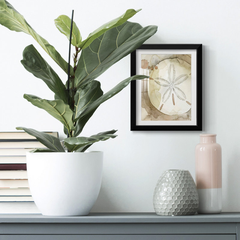 Dry Sand Dollar II -Framed Print, 25.5" H x 17.5" W, Black