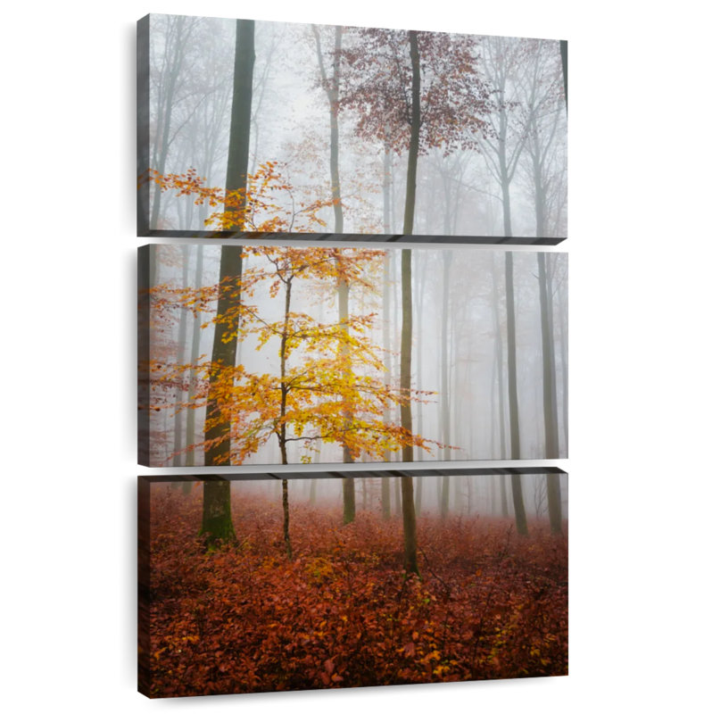 Paysage d'automne brumeux Alvord, H 23 po x l 14 po