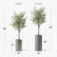 Arbre artificiel dans un pot de fleurs moderne, décoration d'arbre en soie d'olivier artificiel (pot et arbre)-424482375-424482373