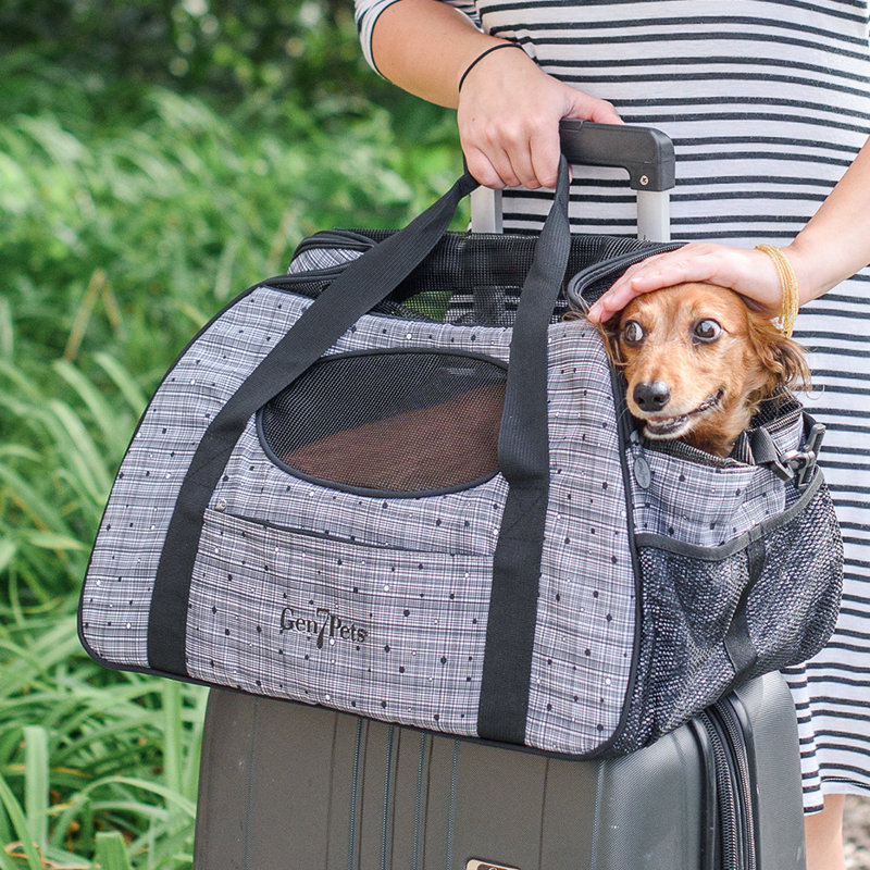 Cage de transport pour animaux Liya