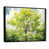Black Floater Framed