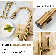 Pull Down Single Handle Kitchen Faucet with Accessories