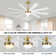 Babrak 65'' Ceiling Fan with LED Lights
