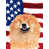 Beige chow-chow