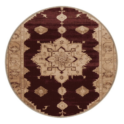 Machine Washable Overdyed Brown Area Rug
