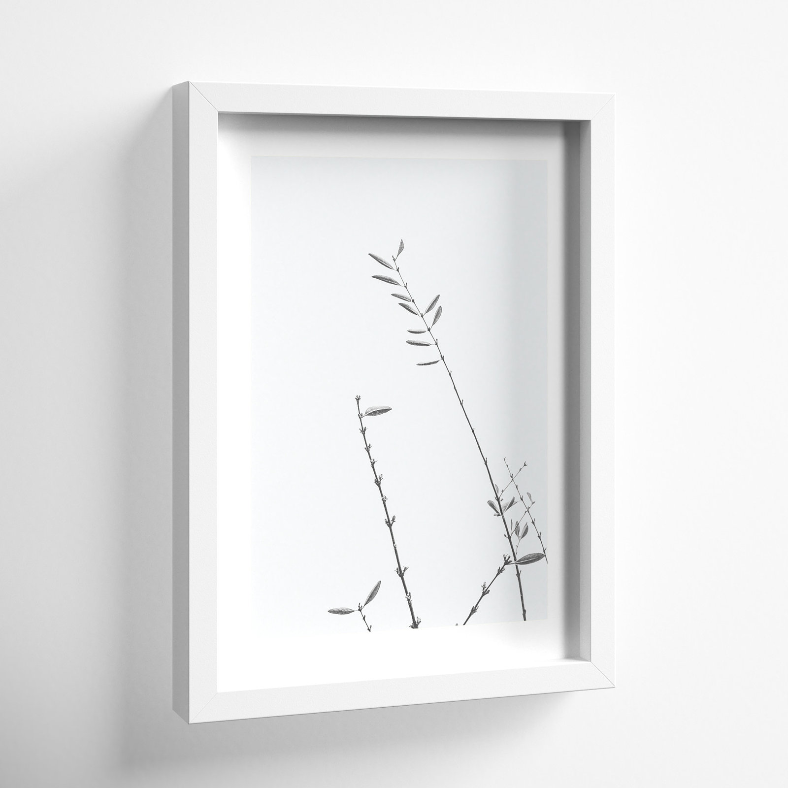 Retro Tennessee Botanical No 3 Photo Print, White, 17" H x 12" W x 2" D