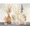 «Autumn Greenhouse I Amber Crop» par Julia Purinton - reproduction