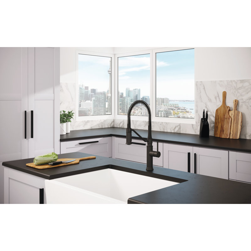 Pull down Single Handle Kitchen Faucet with Accessories, Black