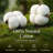 DDUOXIN 100% Cotton 98×90 inch Quilt Sets - 1 Quilt with 2 Pillow Shams-117794880-117794882