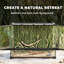 Reptile Box