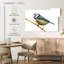 Feathery Blue Tit-108879255
