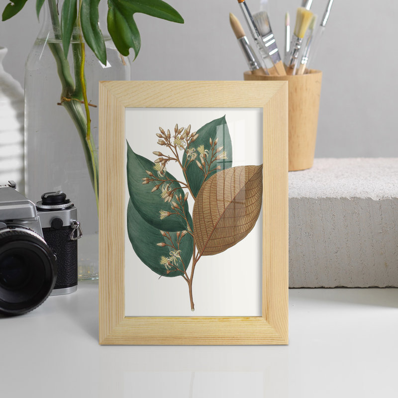 Feuillage d'automne encadré sur papier, H 7 po x l 5 po x P 1 po, Naturel