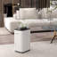 Bothwell Dehumidifier
