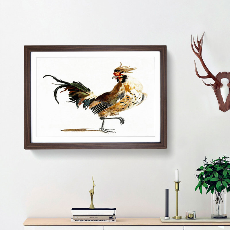 A Rooster by Johan Teyler - Framed Print, 24cm H x 33cm W x 2cm D, Walnut Framed