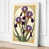 White Border